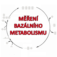 Měření bazálního metabolismu - 40min